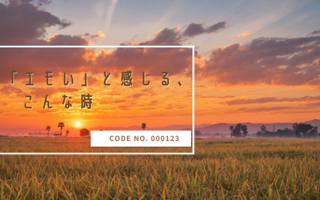 「エモい」と感じるのは こんな時