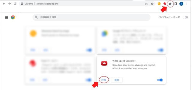 拡張機能の詳細を開く