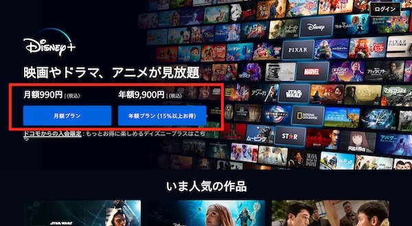 ディズニープラス申し込み画面2