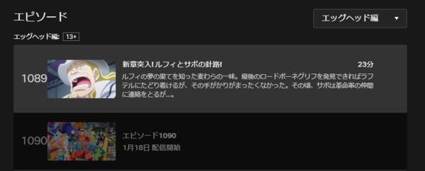 Netflixではワンピースアニメの最新話が見られるjpg